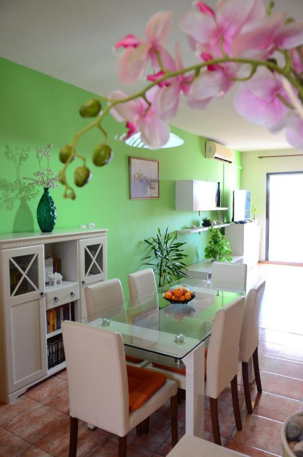 Apartment Vodanovic *