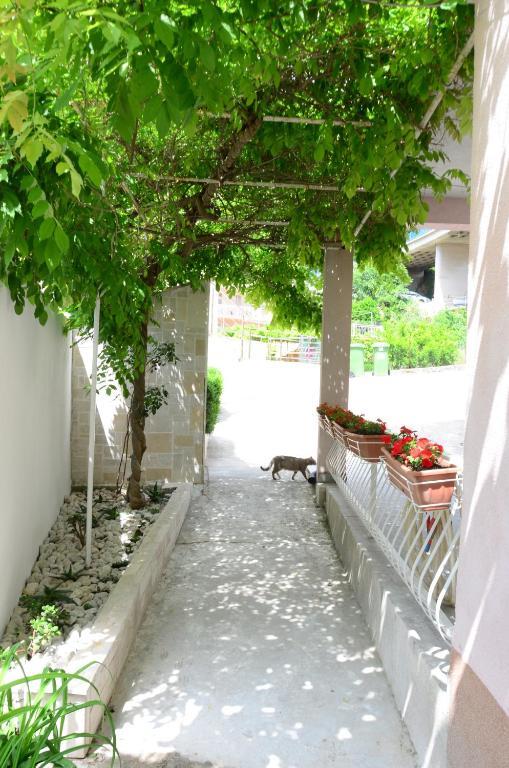 Apartmán Vodanovic *